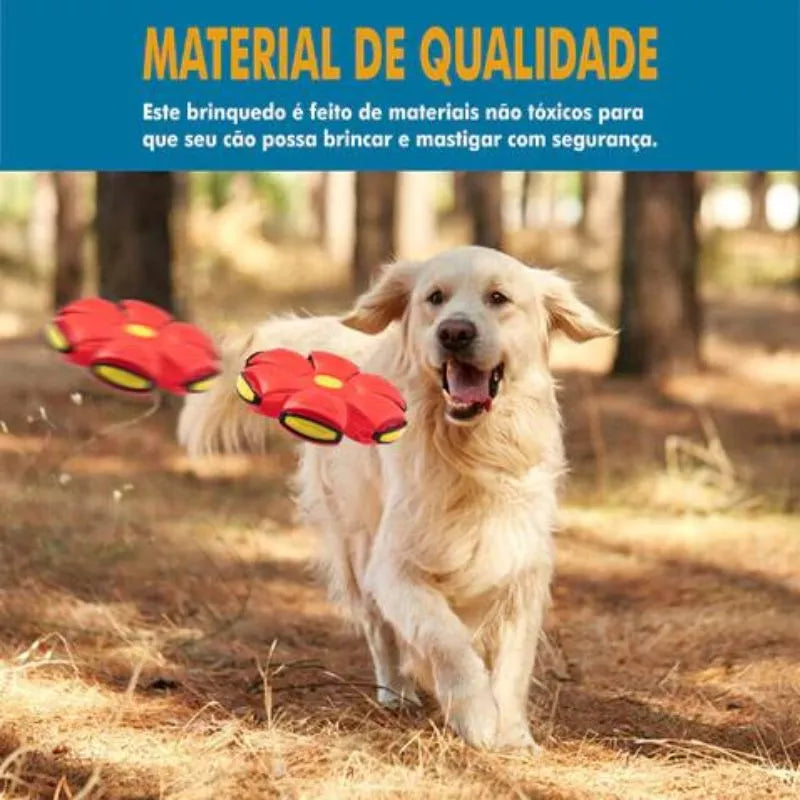 Flyball® Bola Voadora para Cães (COMPRE 1 LEVE 2)