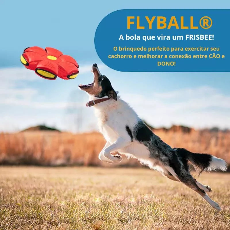 Flyball® Bola Voadora para Cães (COMPRE 1 LEVE 2)