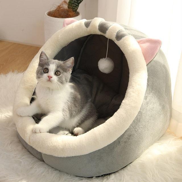 Caminha iglu para Gatos - Pet Iglu - Ponto Exato 