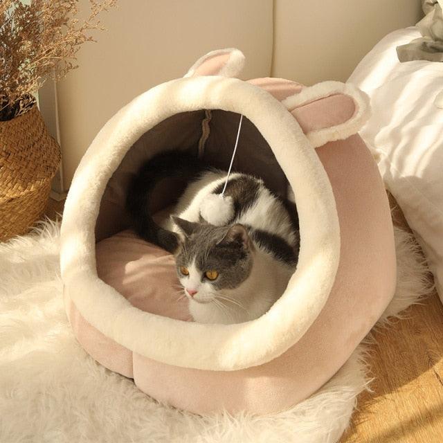 Caminha iglu para Gatos - Pet Iglu - Ponto Exato 